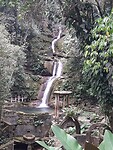 In Park Las Pozas van Sir Edward