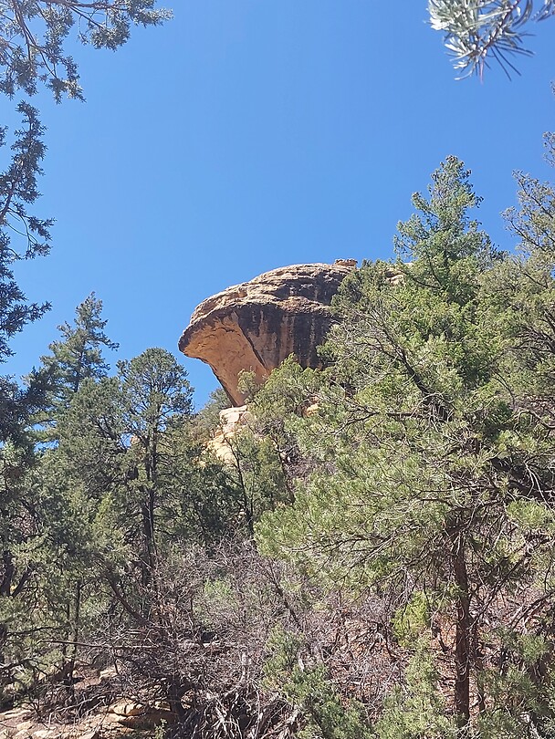 In Mesa Verde
