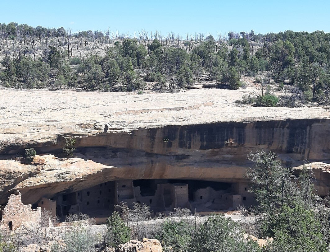 Grotwoning Cliff Palace
