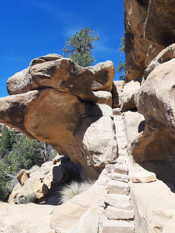 Hiken in Mesa Verde.