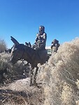La Jornada