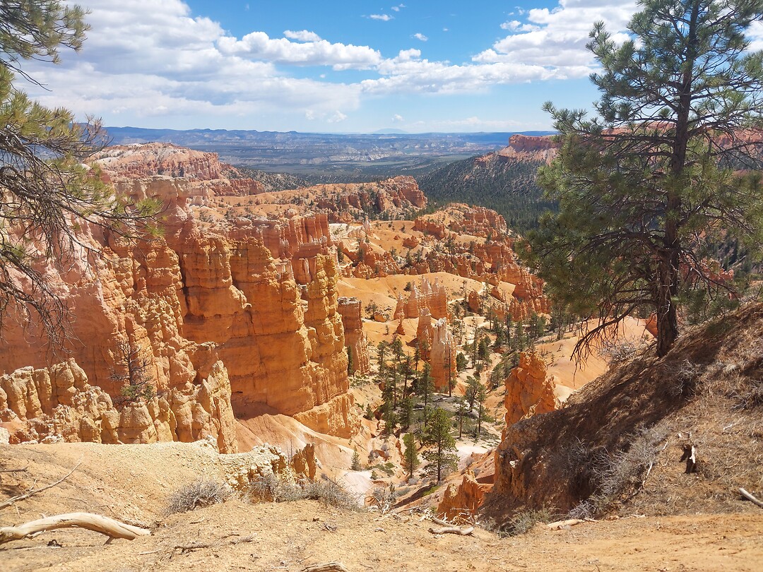 Bryce Canyon 1