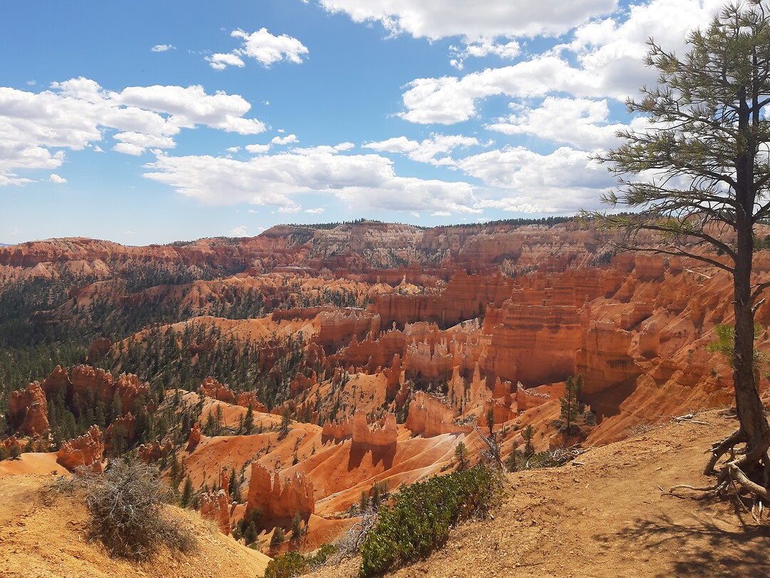 Overlook Brycepoint