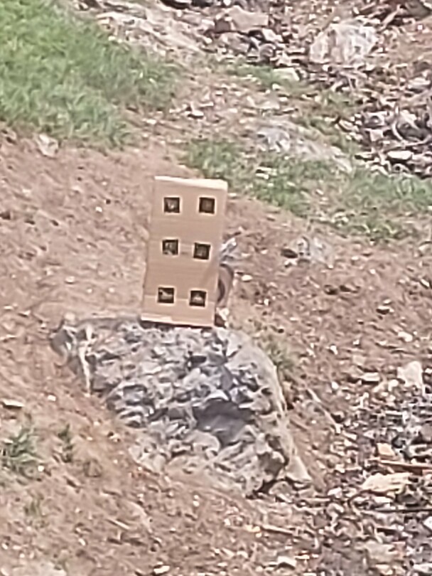 Target shooting
