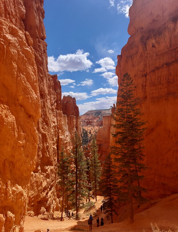 Navajo loop in Bryce