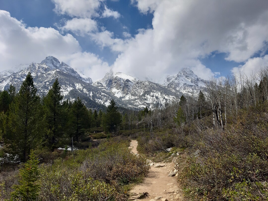 Wandeling in Grand Teton NP
