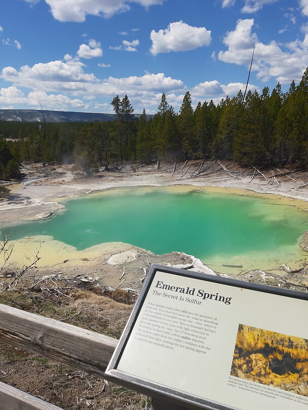 Hot spring in Yellowstone