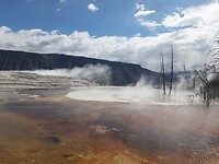 Mammoth hotspring