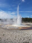 Spuitende Geyser