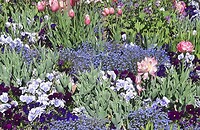 Bloemenperk