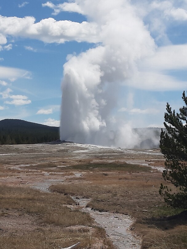 Old Faithfull Geyser