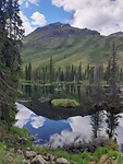Beaver pond