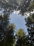 Een cirkel in de lucht