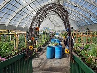 Greenhouse prachtig