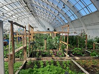 Greenhouse van binnen