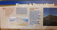Infobord pingo