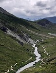 Denali wandelpad langs de rivier