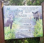 Pas op eland