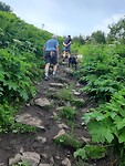 Wandeling
