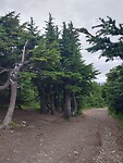 Terug beneden ( viewpoint route)