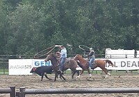 Rodeo