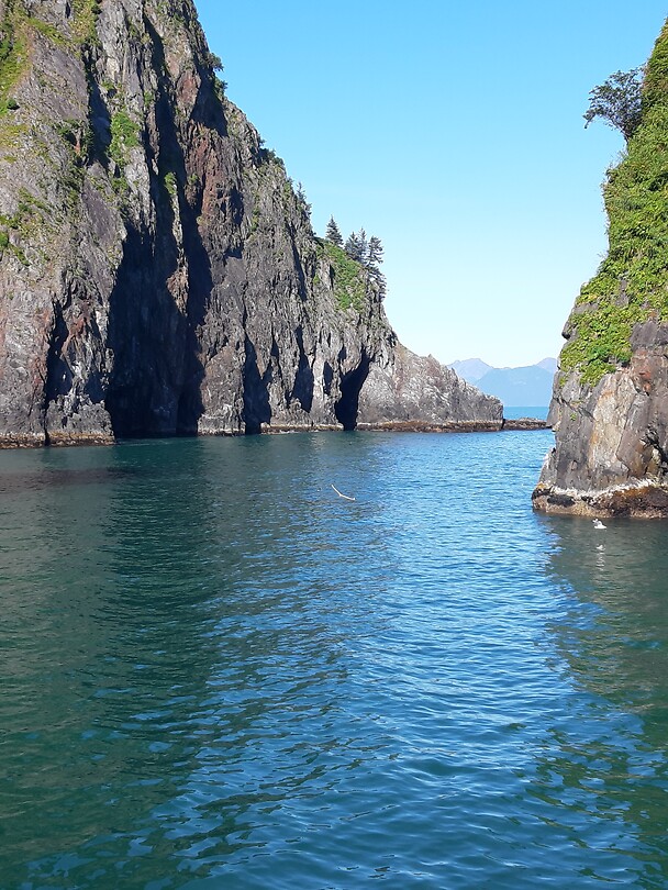 Kenai Fjord 2