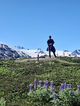 Harding icefield trail in Exit Glacier