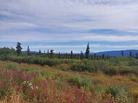 Glenndallen Highway