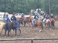 Rodeo terrein