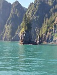 Kenai Fjord 1