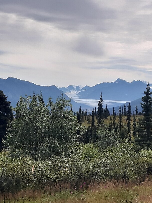 Uitzicht op een gletsjer van Wrangell np