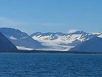 Gletsjer komt uit in Kenai Fjord
