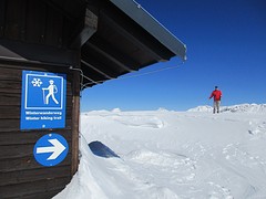 Winterwandelin