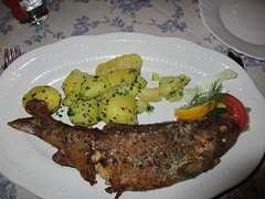 De forel