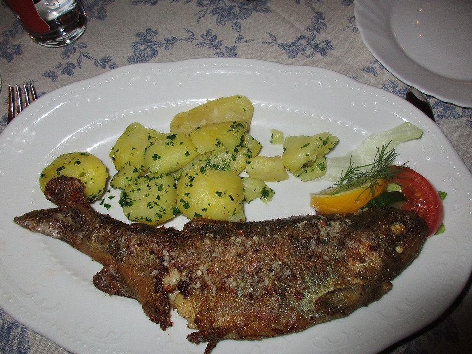 De forel