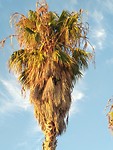 IMG_20190225_183055