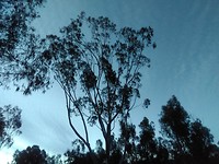 IMG_20190228_185933