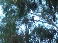 IMG_20190228_184430