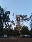 IMG_20190228_190258