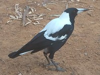 IMG_20190228_183136
