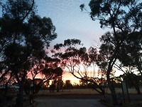 IMG_20190228_190334