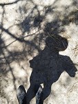 IMG_20190302_125535