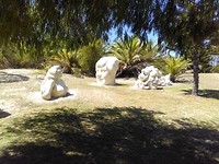 IMG_20190303_122554