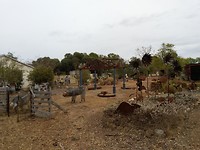 IMG_20190307_115234