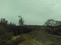 IMG_20190308_055733