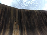 IMG_20190308_053859