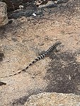 IMG_20190309_100446