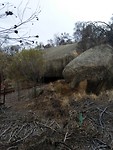 IMG_20190309_101301