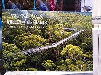 IMG_20190319_103606