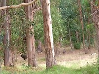 IMG_20190320_154524